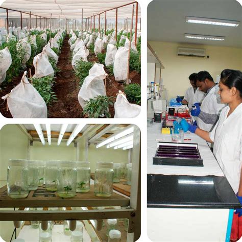 Research - Nath Bio-Genes (I) Ltd.