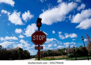 Image result for What Are Urease Positive Organisms