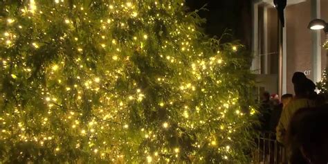 ‘Grand Illumination’ celebration to light up Charlottesville with ...