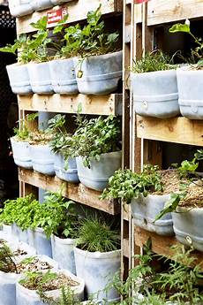 Vertical Garden by Don S Tips Vertical Gardens Burke S Backyard Vertical Garden