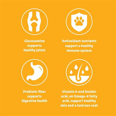 Buy Amazon Brand - Wonder Bound High Protein, Adult Dry Dog Food ...