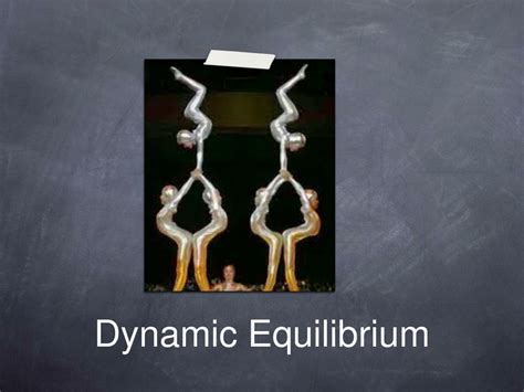 Dynamic Equilibrium 的图像结果