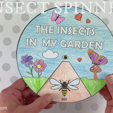 Image result for Hand Craft Insect Screen