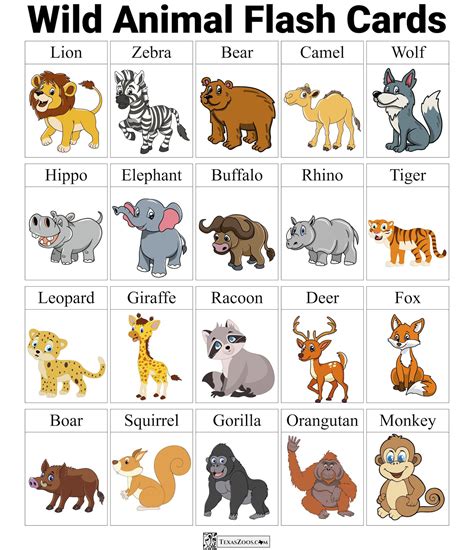 Pinterest | Animal flashcards, Zoo animals, Flashcards for kids in 2025 ...