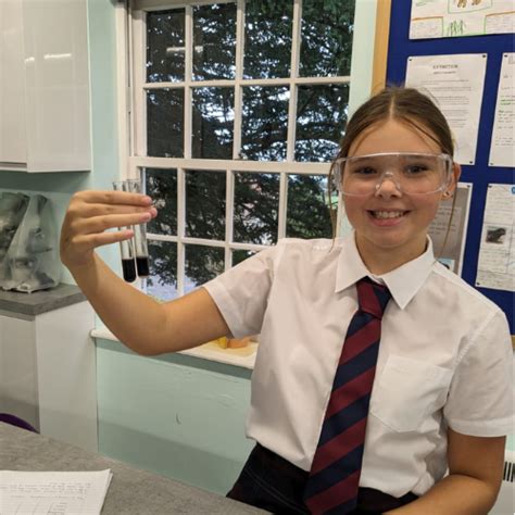 Image result for One Example of a Science Practical