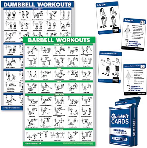 3 Pack: Dumbbell Workout Poster Barbell Exercises | Ubuy India