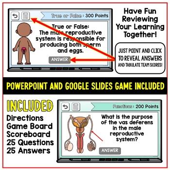 Image result for Male Reproductive System Interactive Game