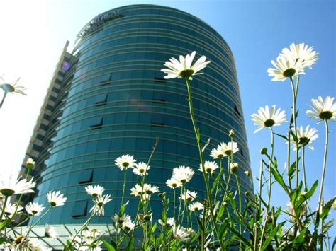 SUITES CAMINO REAL (La Paz) - Hotel Reviews, Photos, Rate Comparison ...