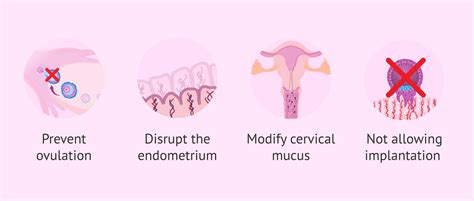 Image result for How Birth Control Works