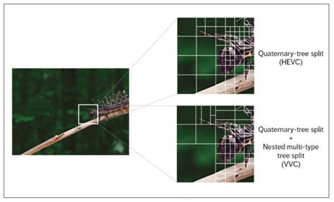 Image result for HEVC VVC