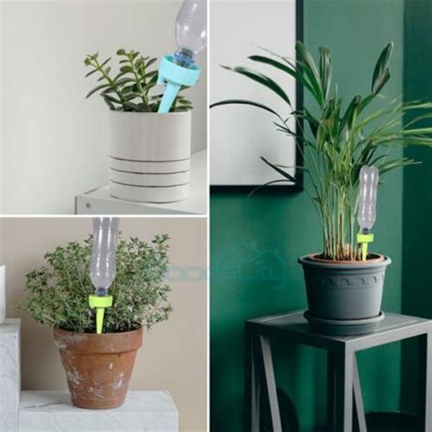24/48/60Pcs Automatic Self Watering Spikes Plants | Ubuy India