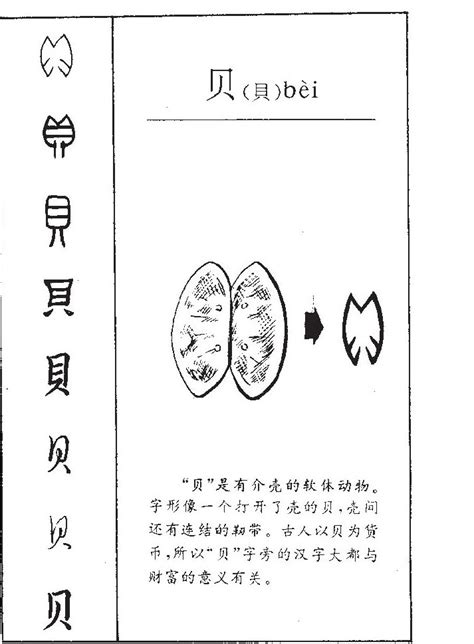 "贝" 的详细解释 汉语字典