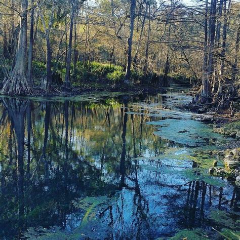 ECONO LODGE JENNINGS FL (Live Oak) - Motel Reviews, Photos, Rate ...