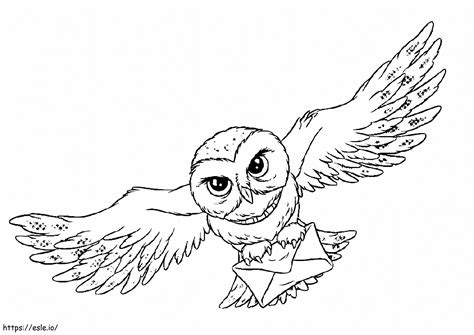 Harry Potters Owl coloring page
