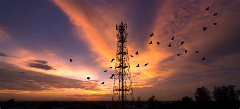 Image result for IFS Technical Analyst