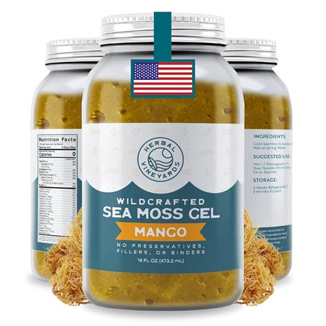 Amazon.com: Herbal Vineyards Wildcrafted Irish Mango Sea Moss Gel 16 Oz ...
