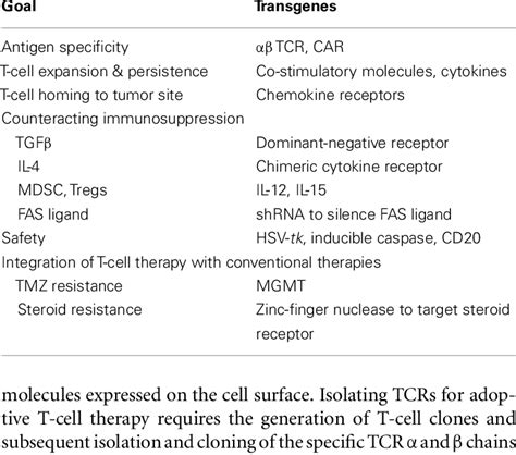 Image result for TG Genetic Modification