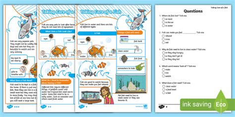 KS1 How to Look After a Fish Differentiated Reading Comprehension Activity