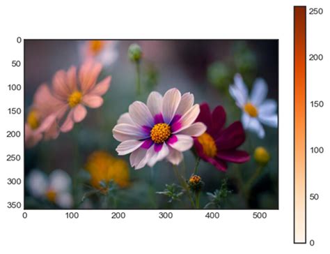 Image result for Ảnh Matplotlib