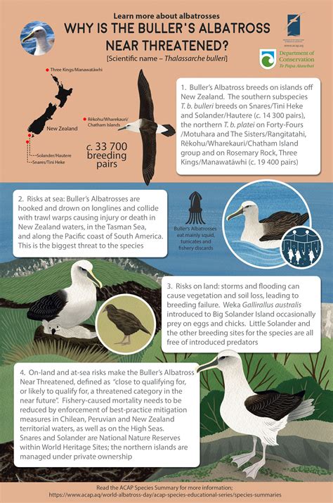 Agreement on the Conservation of Albatrosses and Petrels - ACAP ...
