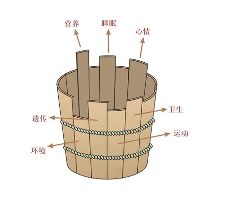 木桶效应对学生的启示木桶效应2022已更新今日资讯