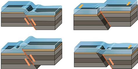 Three Types of Plate 的图像结果