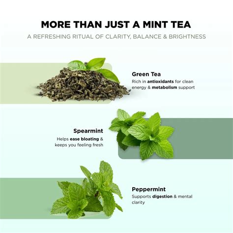 Spearmint & Peppermint Tea | For Digestion and Refreshment | 35g