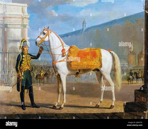 Napoleon Bonaparte On Horse