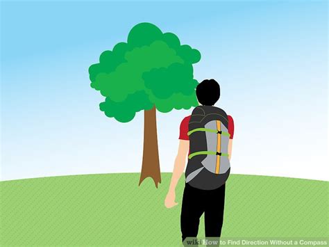 Image result for How to Tell Direction without Compass
