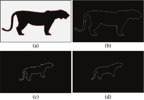 Image result for Contour Tracking Algorithm