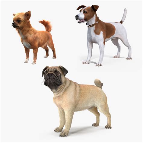 3D dogs 2 - TurboSquid 1691116