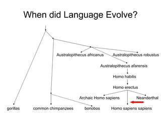 Earliest Human Language 的图像结果