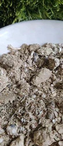 Sunflower Meal Extract Trader - Wholesaler / Distributor from Mohali