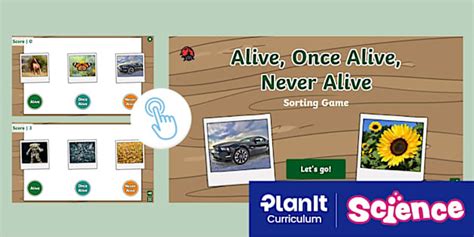 Alive, Once Alive, Never Alive Sorting Game