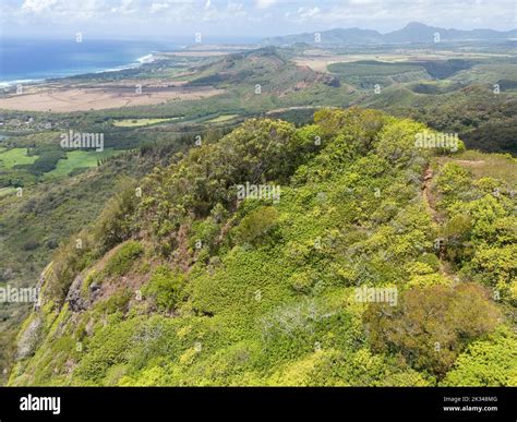 Aerial view of Sleeping Giant East Trailhead, Nounou Forest Reserve ...