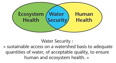 ecosystem related with water and its effect with diagram assignment ...