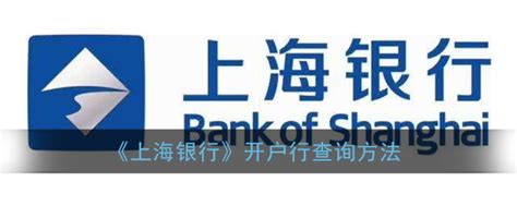 上海银行怎么查开户行_开户行查询方法_3DM手游