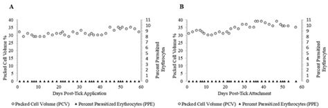 A U.S. Isolate of Theileria orientalis Ikeda Is Not Transstadially ...