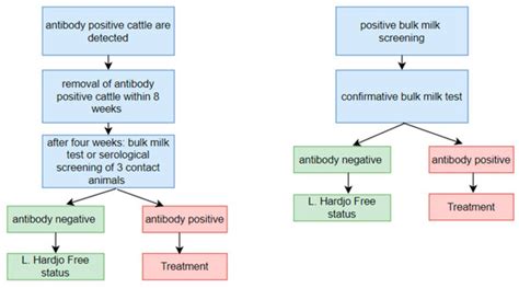 Effectiveness of the Leptospira Hardjo Control Programme and Detection ...