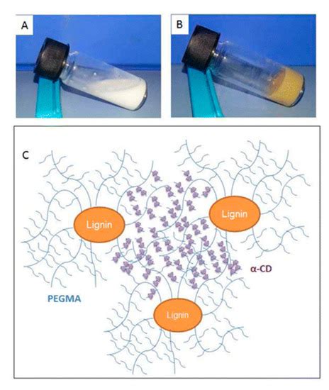 Lignin-Based Hydrogels: Synthesis and Applications