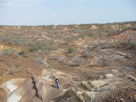 Photography Fieldwork of People 的图像结果