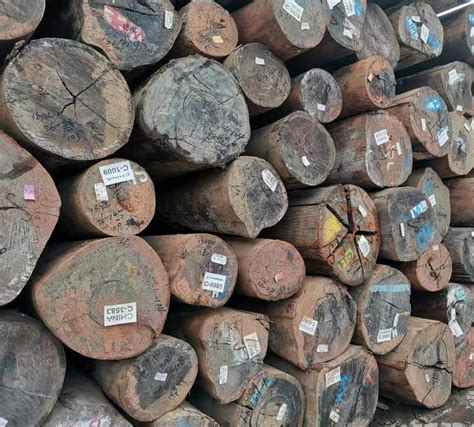 赣州进出口木材中转交易中心预计将于2020年初完成_行业资讯_木头云