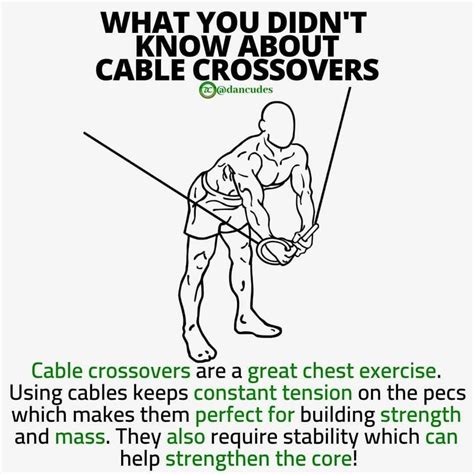 Image result for Cable Crossover Machine Exercises