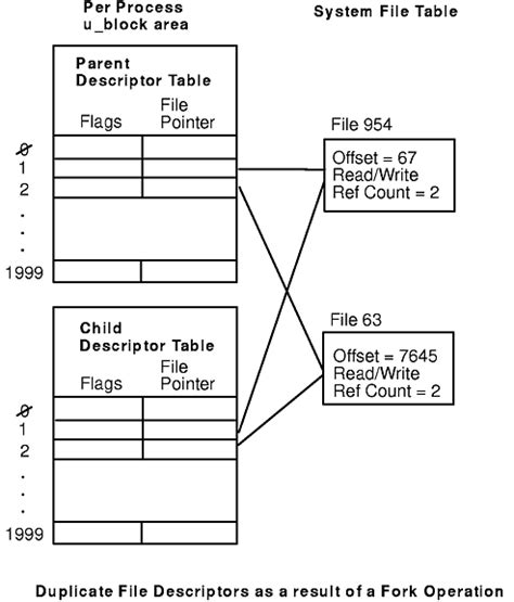 Image result for File Descriptor