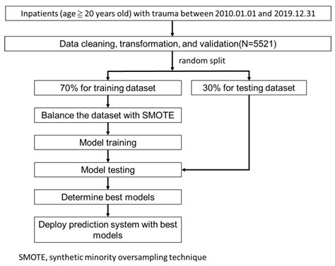 “Could She/He Walk Out of the Hospital?”: Implementing AI Models for ...