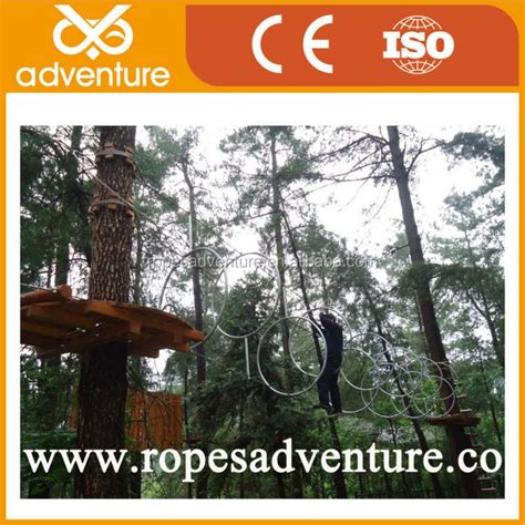 Forest Adventure 的图像结果