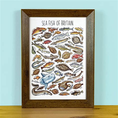 Sea Fish Of Britain Wildlife Print By Alexia Claire