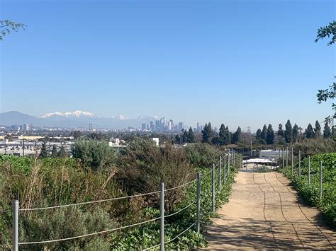 Conquering Culver City: A Stairway to Scenic Bliss - My Review of the ...