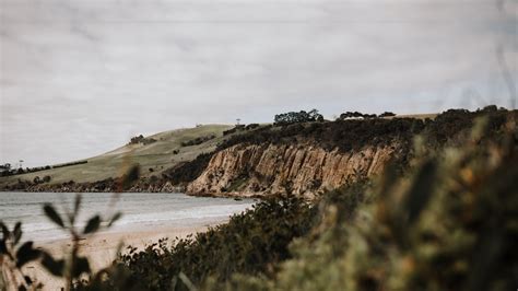 McGregor & Associates