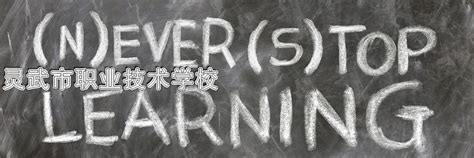 第十小学项目已开工建设 目前正进行基础换填作业--灵武市人民政府门户网站